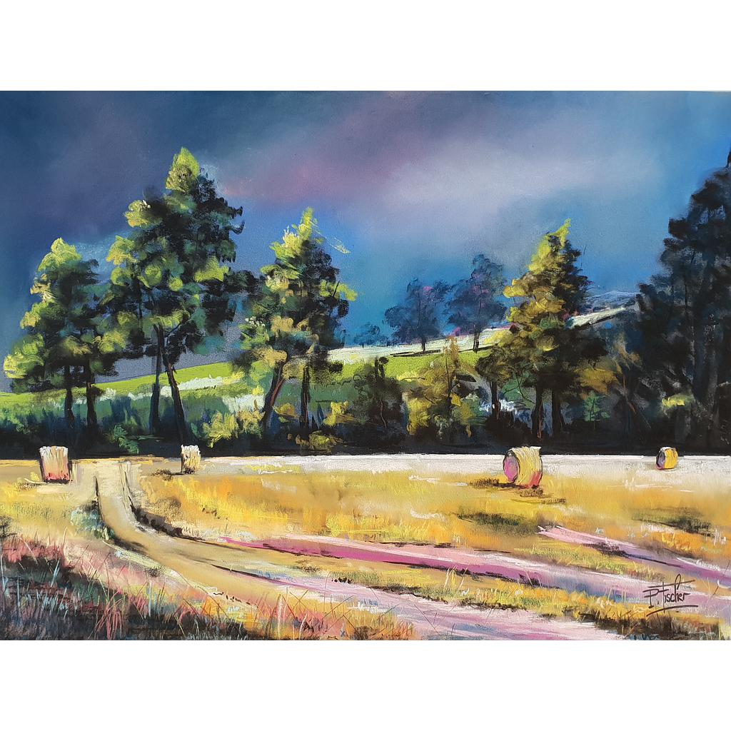 &quot;Après la moisson&quot;