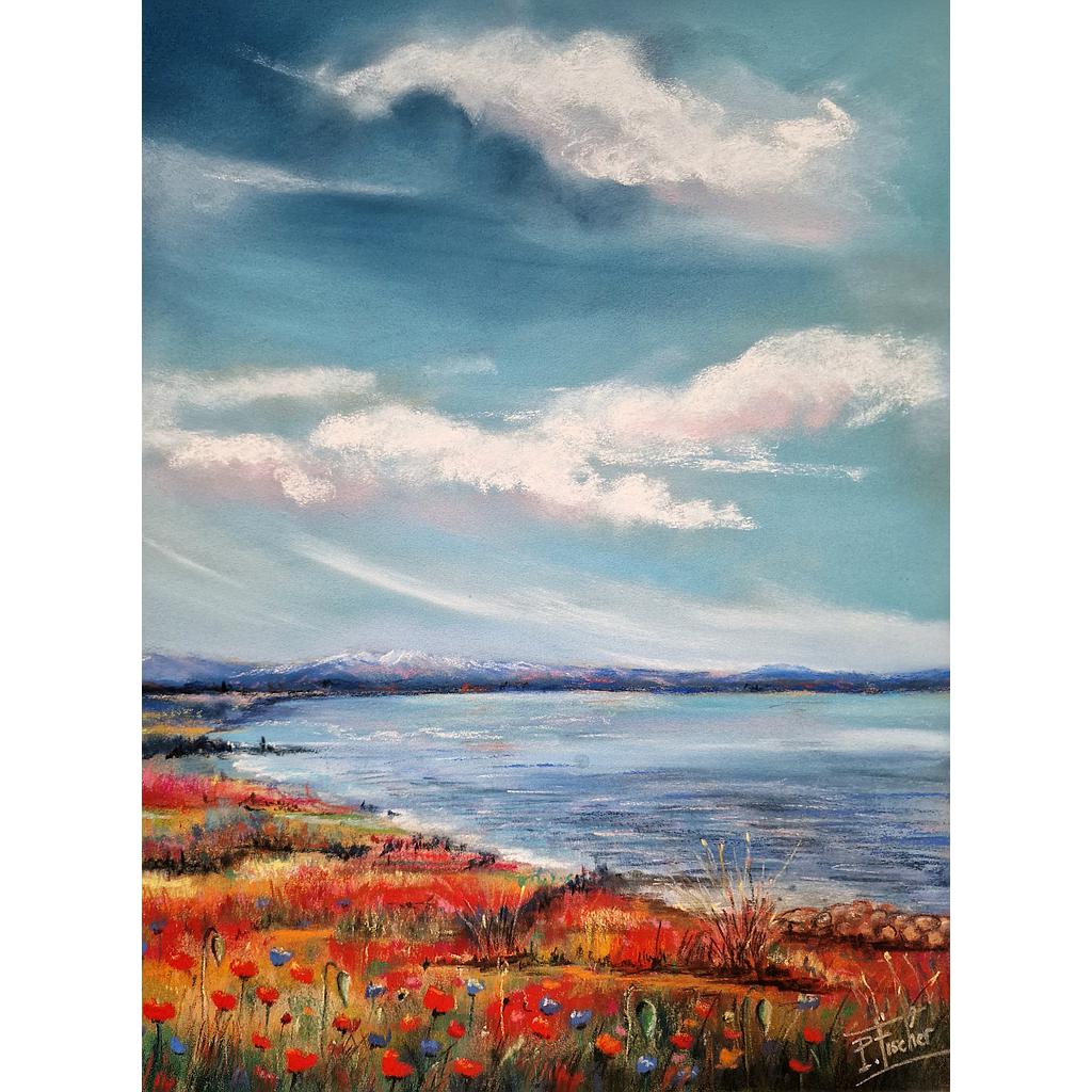 Au bord du lac  (Villeneuve de la Raho)