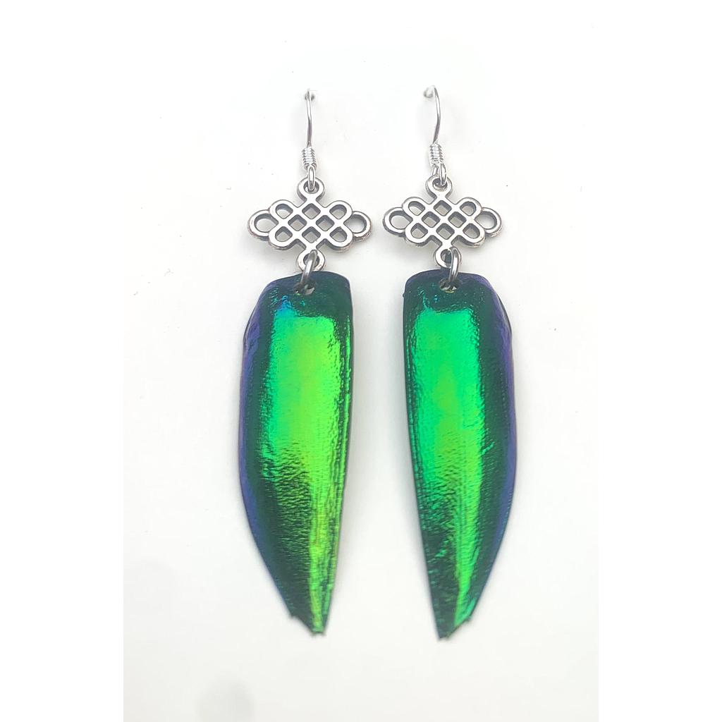 Boucles d'oreilles élytres/ symbole tibétain