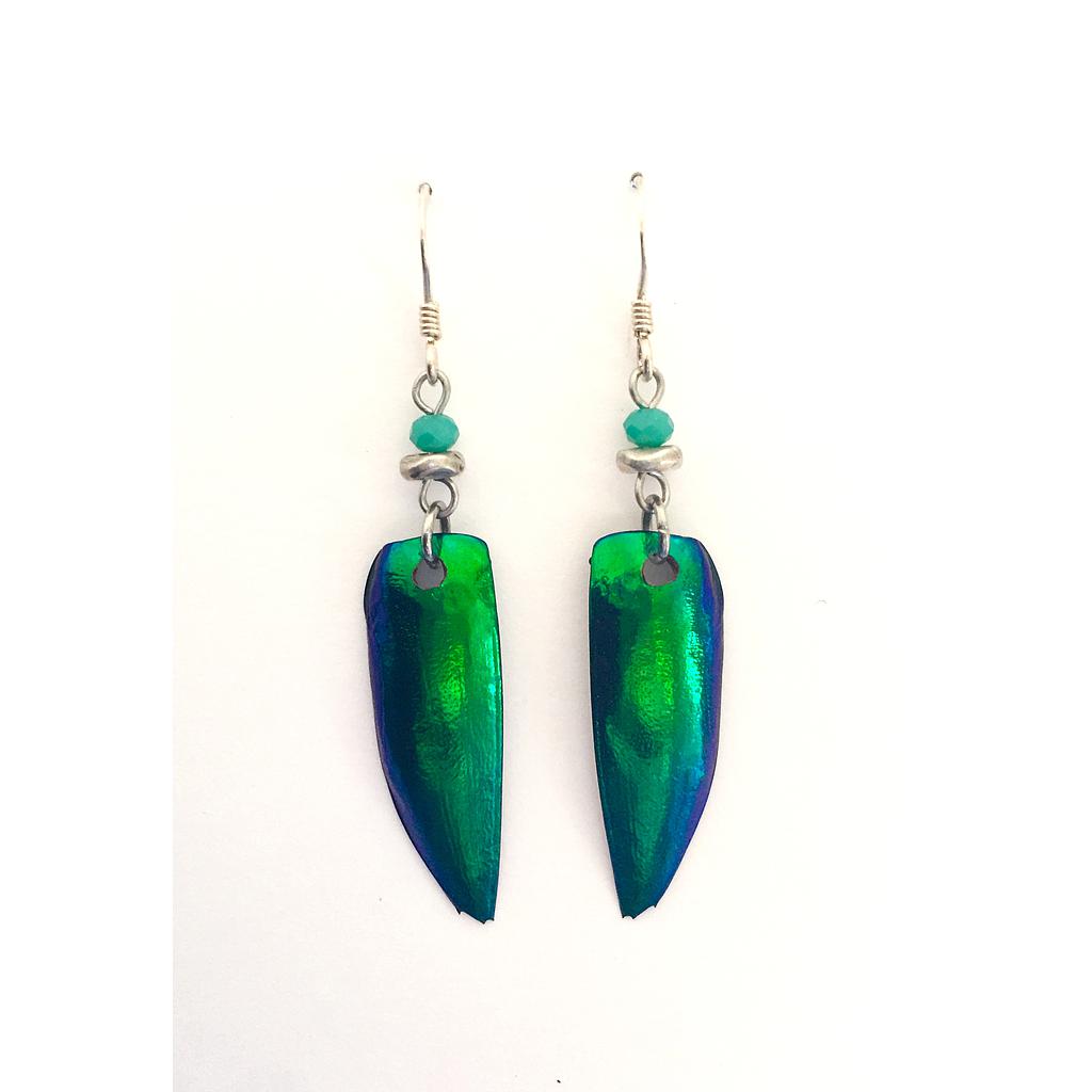 Boucles d'oreilles élytres, perles argentées et bleues