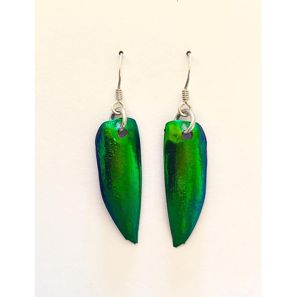Boucles d'oreilles élytres