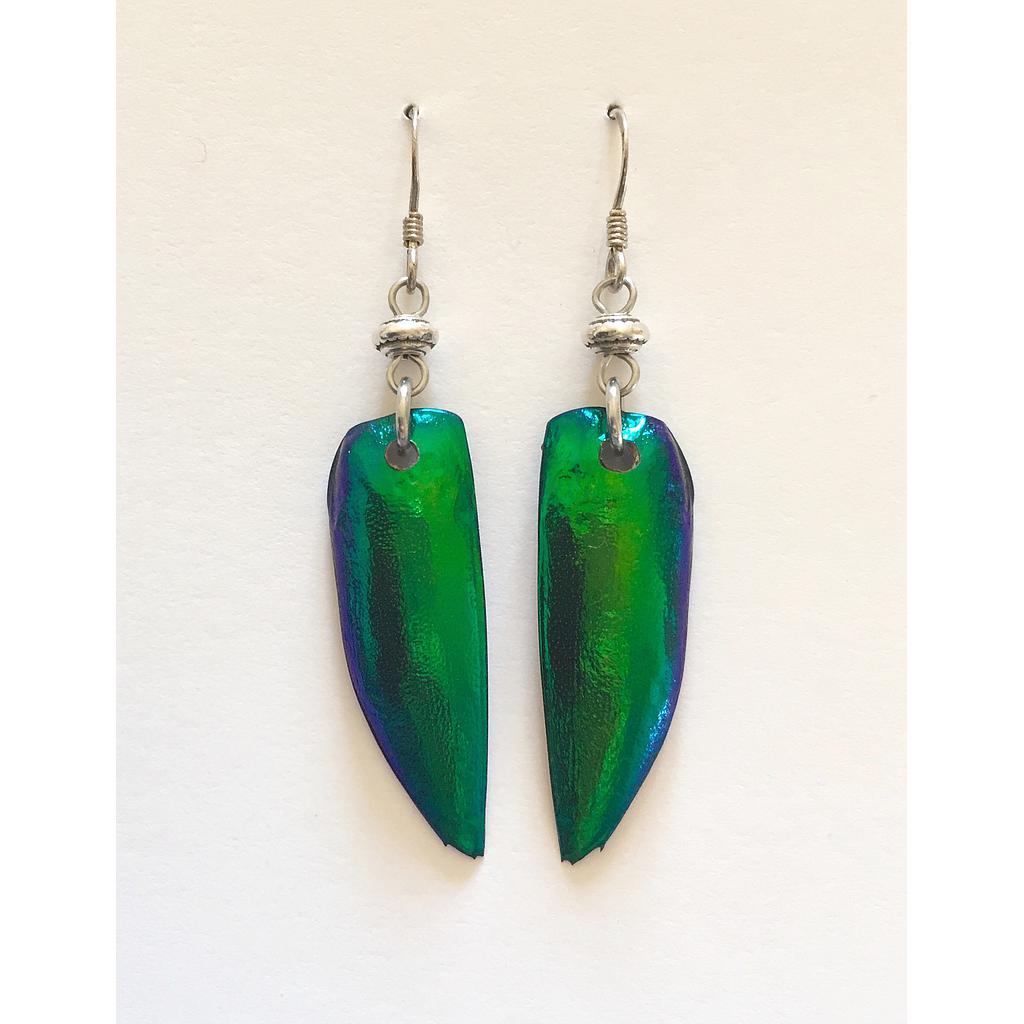 Boucles d'oreilles élytres et petites perles argentées