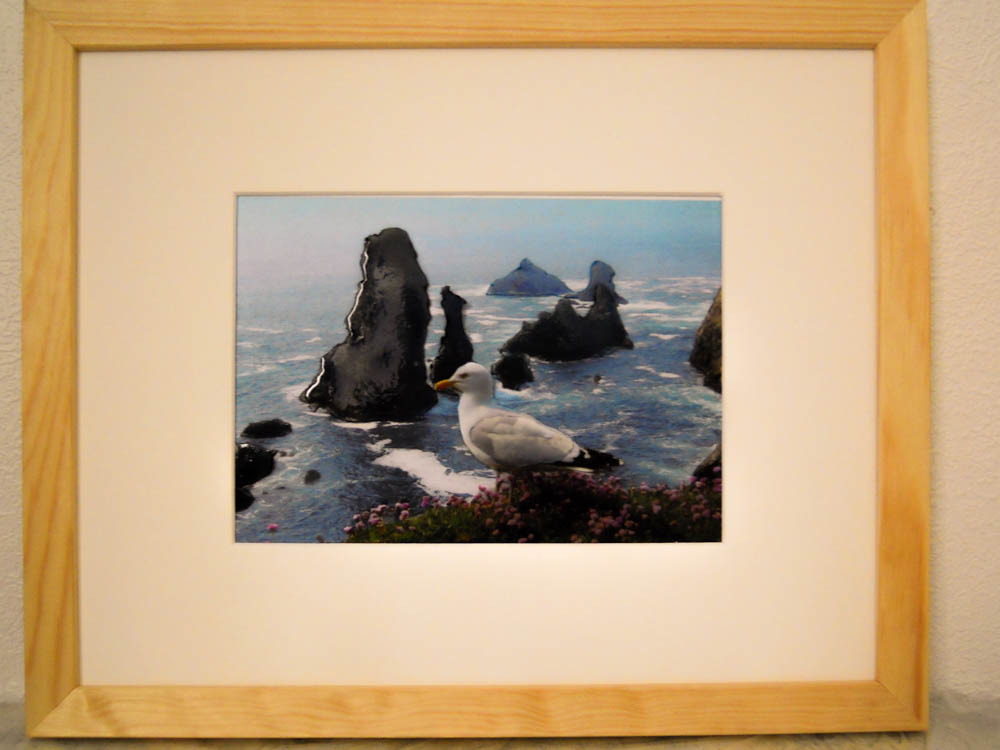 LES ROCHERS ET LA MOUETTE  24x30