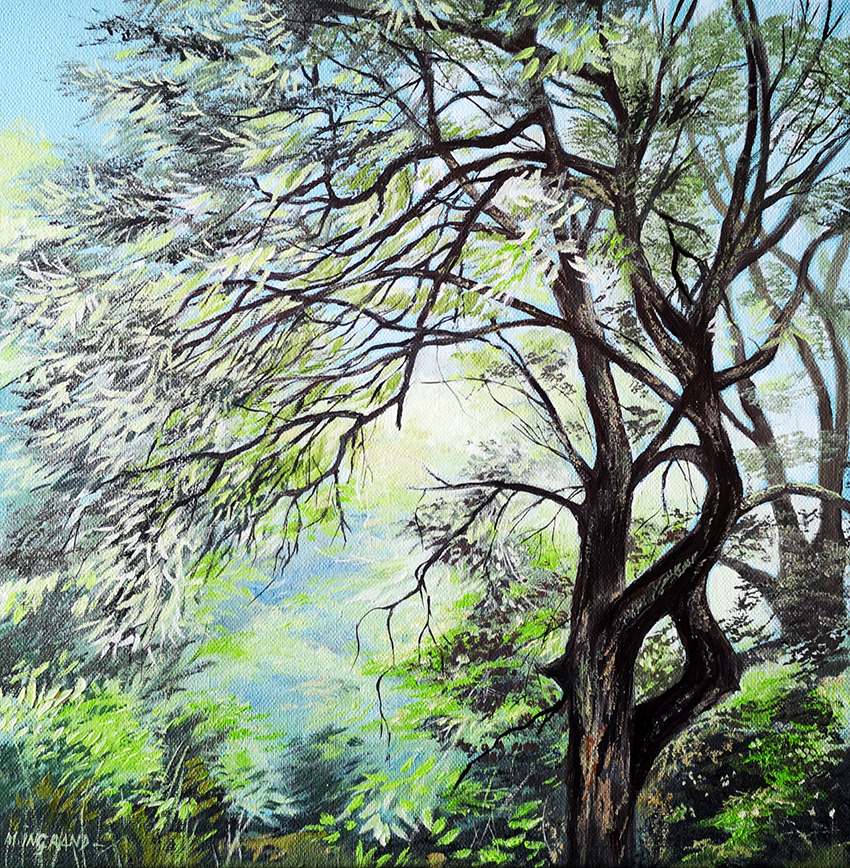 TREE 30x30