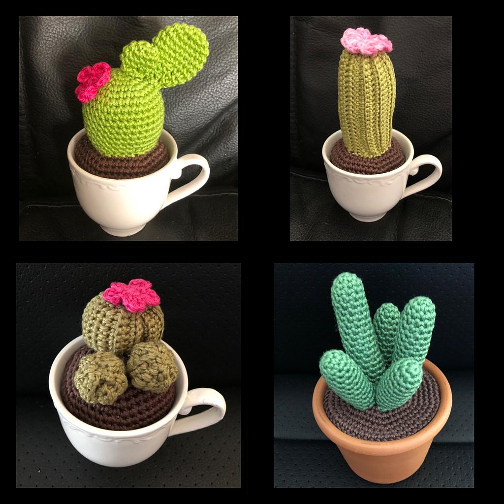 Cactus au crochet