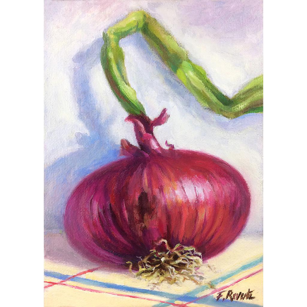 Oignon Rouge 13x18 cm