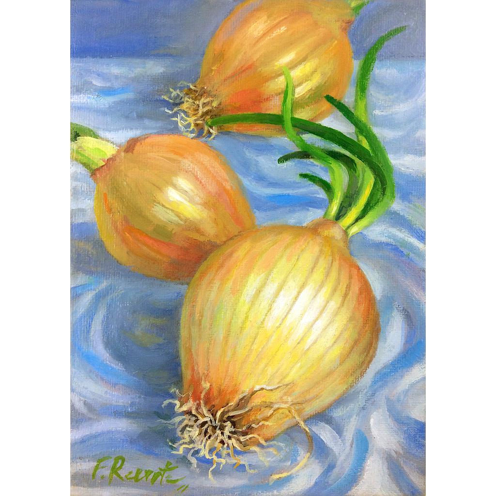 Oignons Blancs 13x18 cm